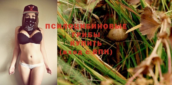 герыч Осинники